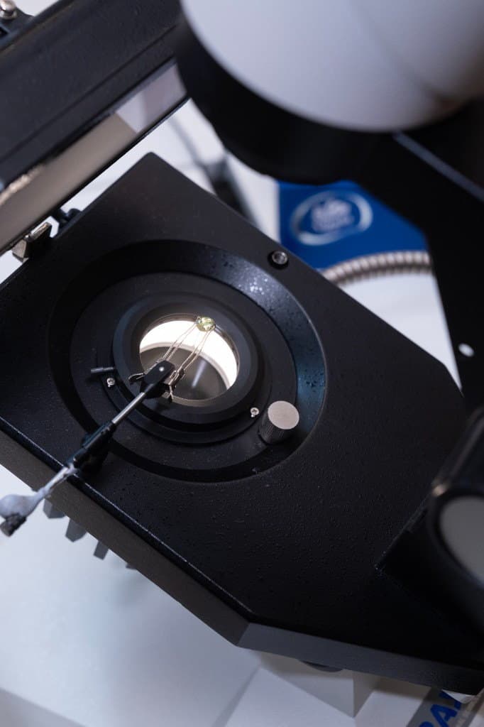 Diamond on a PAGI laboratory grading stage